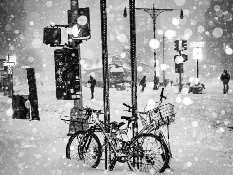 Street Photo 8