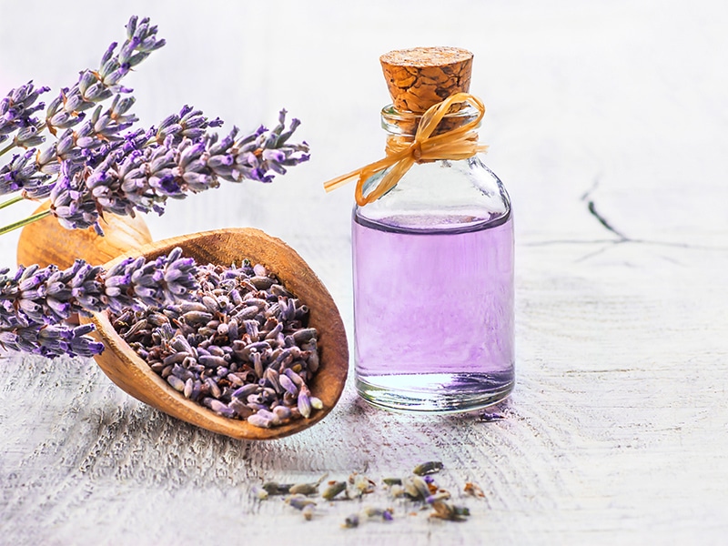 fresh-lavender-flowers کدام گیاهان شادی آور است؟