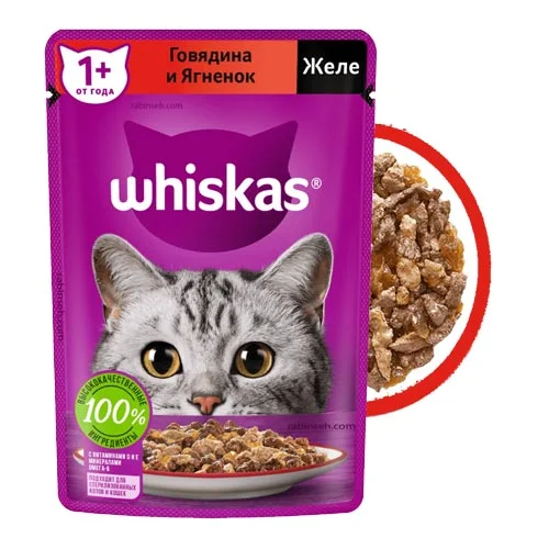 i0SK48jrcspZwPVeIUBliT88foUoKmDwdIAQdLWZ پوچ گربه چیست و چه تفاوتی با کنسرو گربه دارد؟