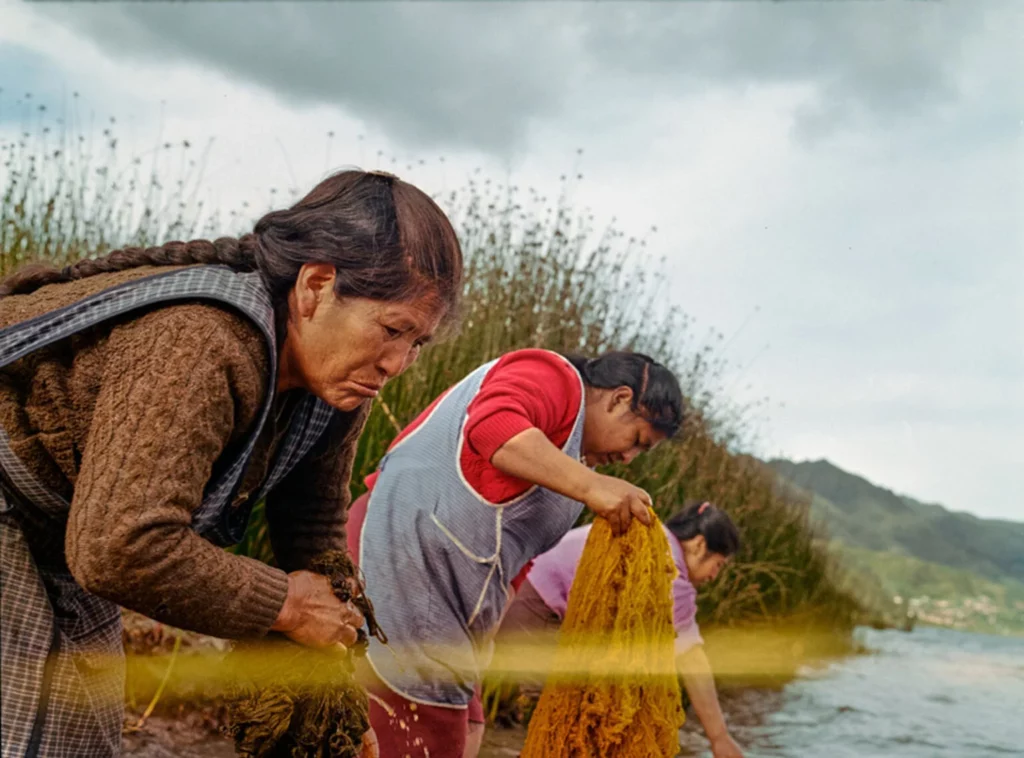 © Nicolas Garrido Huguet Peru Winner Professional competition Environment Sony World Photography Awards 2025 9 1 1536x1137 1