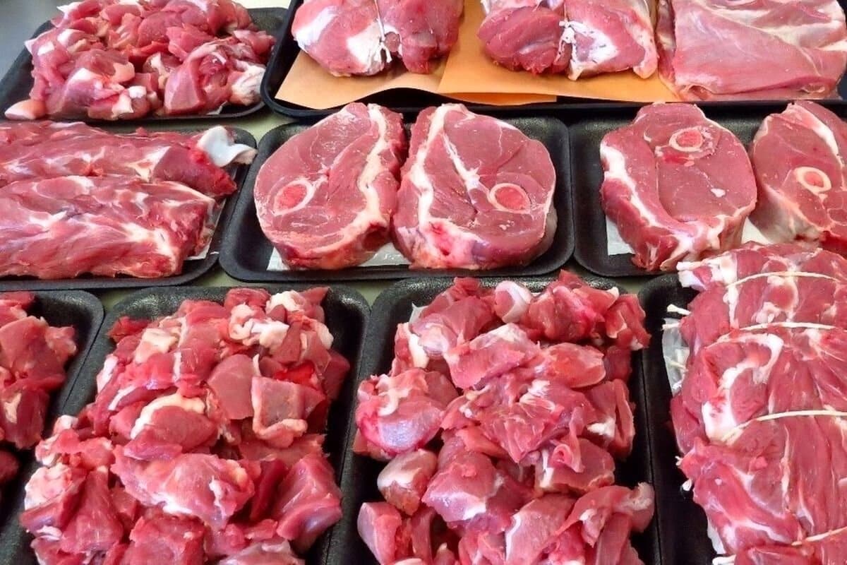 واردات گوشت قرمز ممنوع شد؟