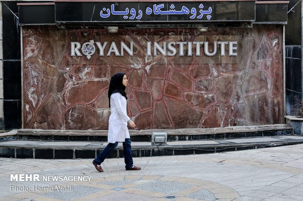 رویان ۲ ماه پس از آتشسوزی؛ چرا کسی «سلول به سلول» پژوهشگاه را نساخت؟ رویان ۲ ماه پس از آتشسوزی؛ چرا کسی «سلول به سلول» پژوهشگاه را نساخت؟