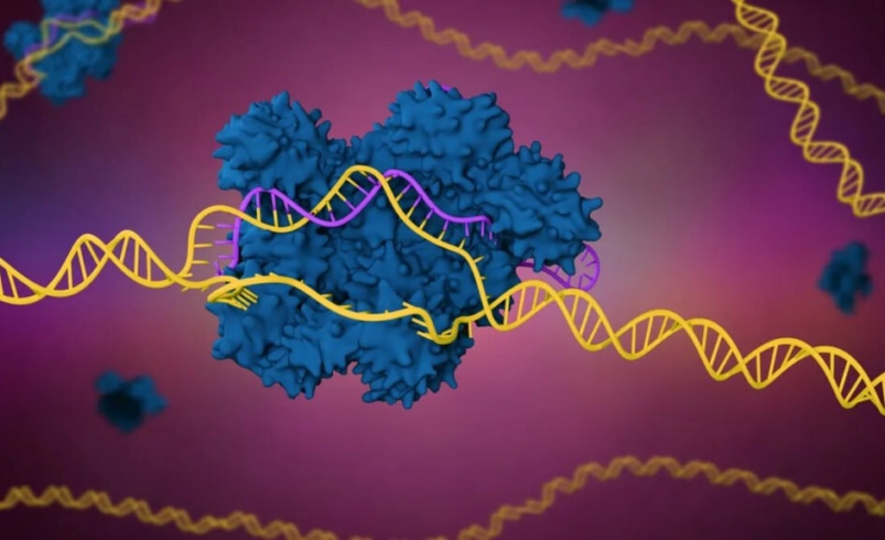 CRISPR gene editing 1024x576 1