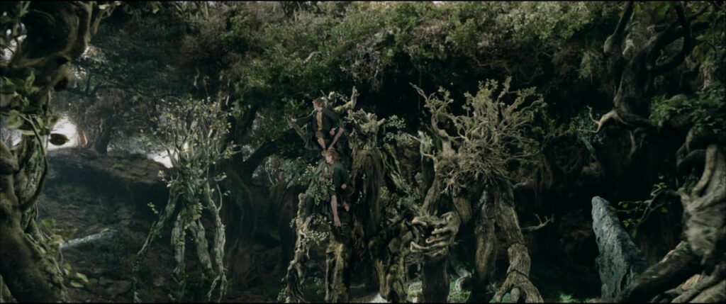 ents 1024x429 1
