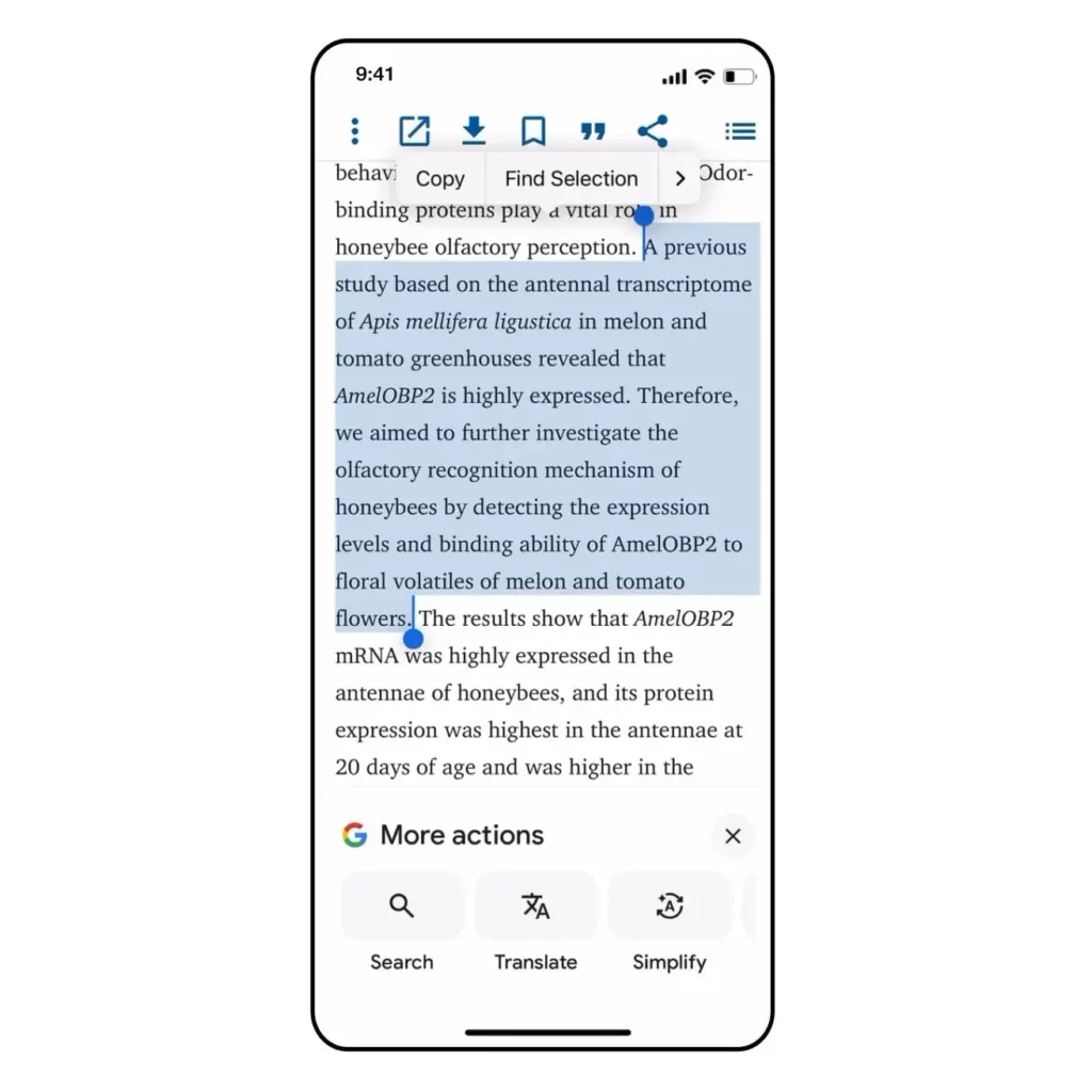 google app simplify ios 1 1024x1024.webp 1