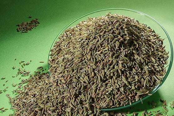 مصرف رازیانه چه فایده ای دارد؟