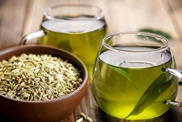 img_643bf08c8af78 مصرف رازیانه چه فایده ای دارد؟