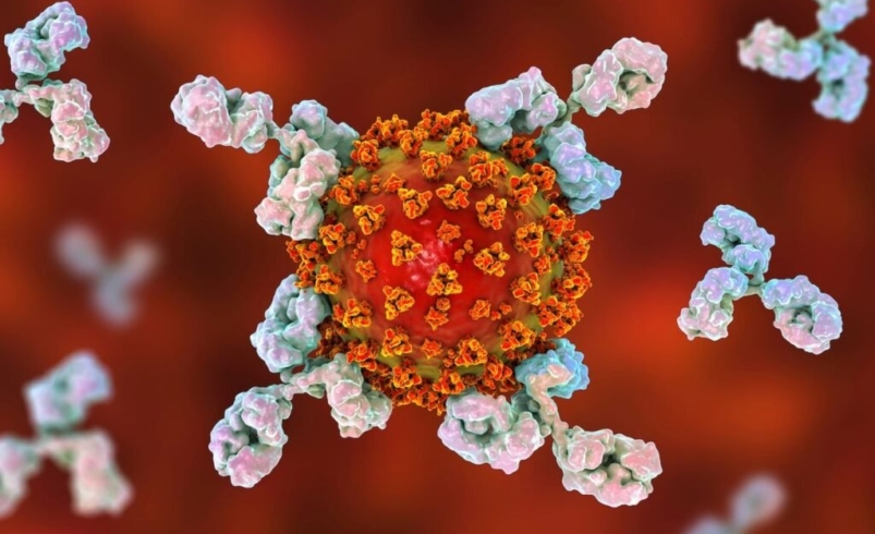 super strong antibodies for new cancer treatment 2 1024x683 1