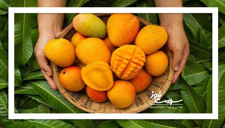  مصرف انبه برای این گروه واجب است