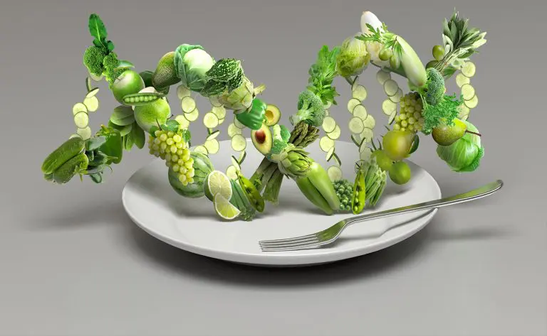 🌱 رژیم وگان؛ راهی برای نجات انسان، حیوان و زمین