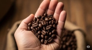 بهترین مارک قهوه کافئین بالا
