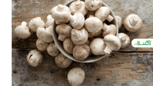 تأثیر قارچ بر درخشندگی پوست