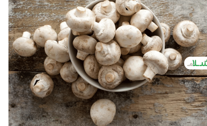 تأثیر قارچ بر درخشندگی پوست