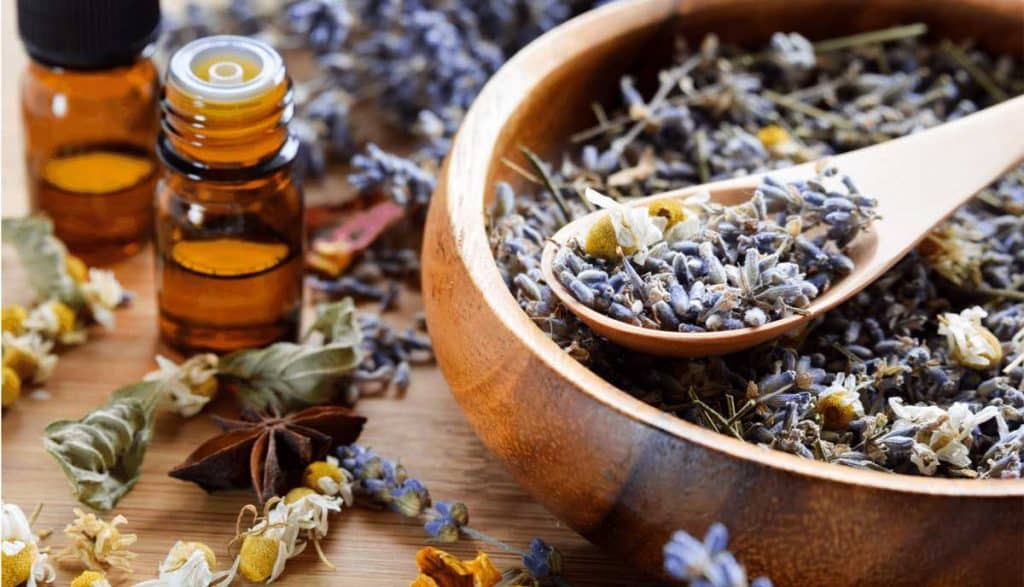 دمنوش گل ختمی