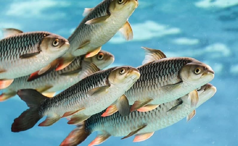 10b607cb 6054 4199 a456 172d3b3c2225