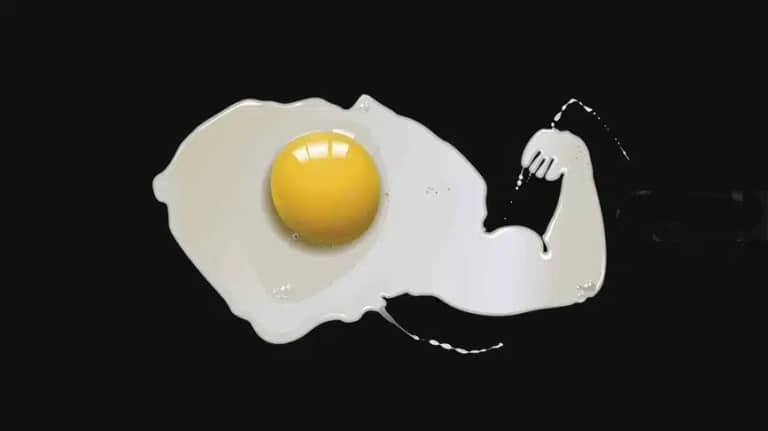 پیامدهای هورمونی مصرف تخم‌مرغ در ورزشکاران و نقش منابع پروتئینی گیاهی