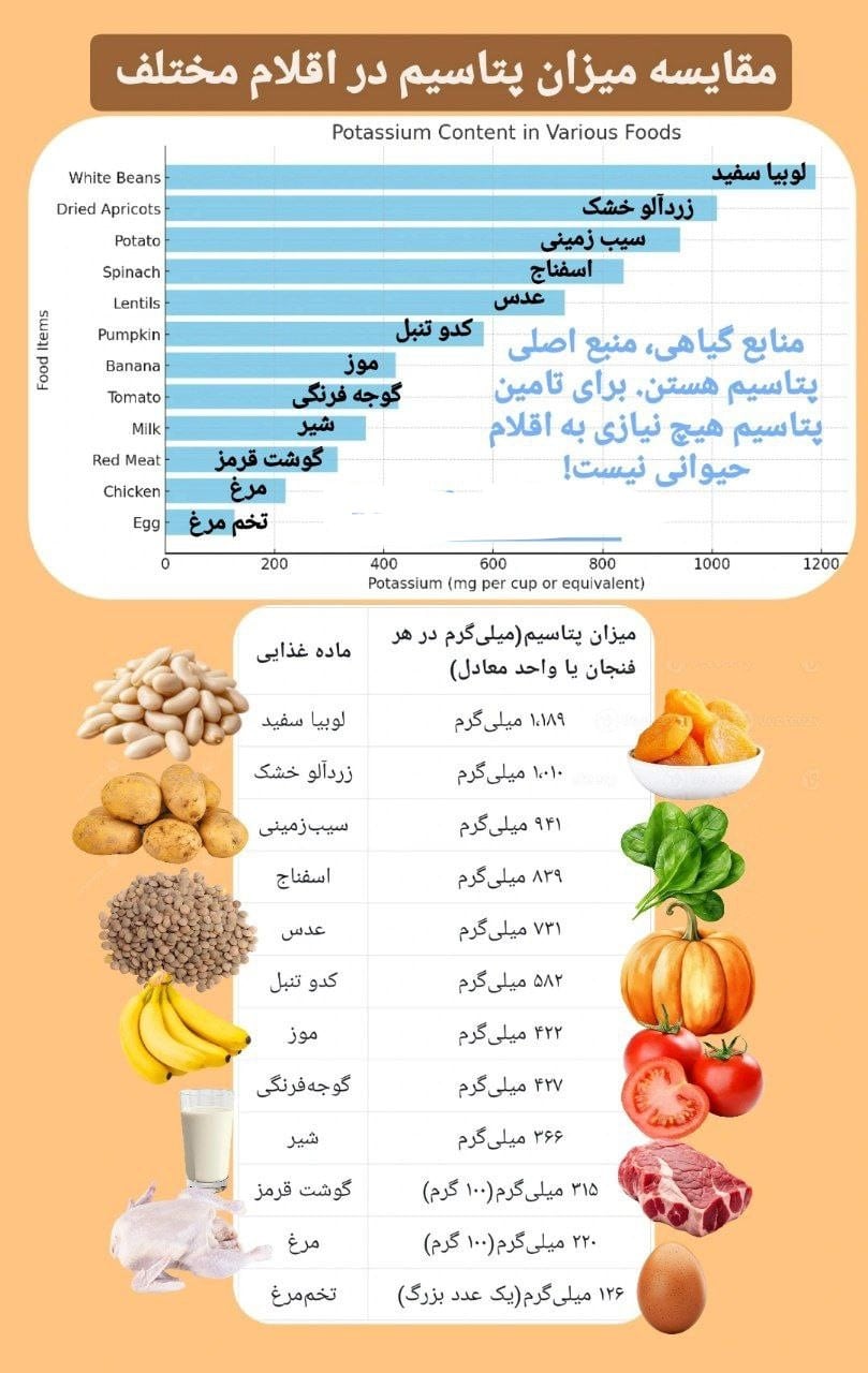 623bca06 dccd 43b3 a92c 700abfd01426