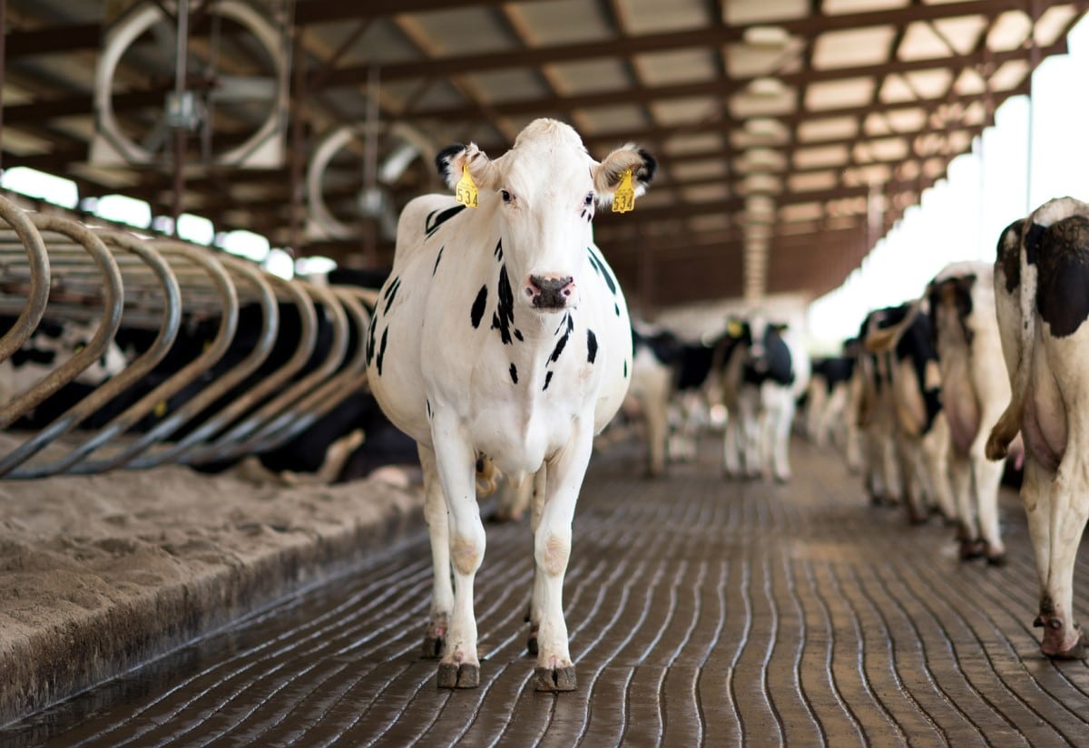 671f2a64 2d81 4c84 81b7 ea9f5d42630c