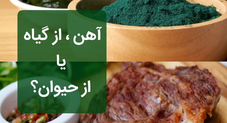 69a9bccd 3782 4226 b5f1 39de6fb40664