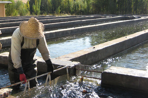 9d60575a 2959 475d 835c e6520290f8e3