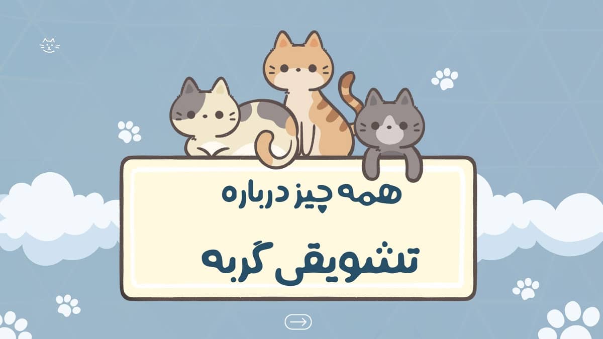 همه چبر درباره تشویقی گربه