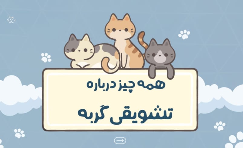 همه چیز درباره تشویقی گربه