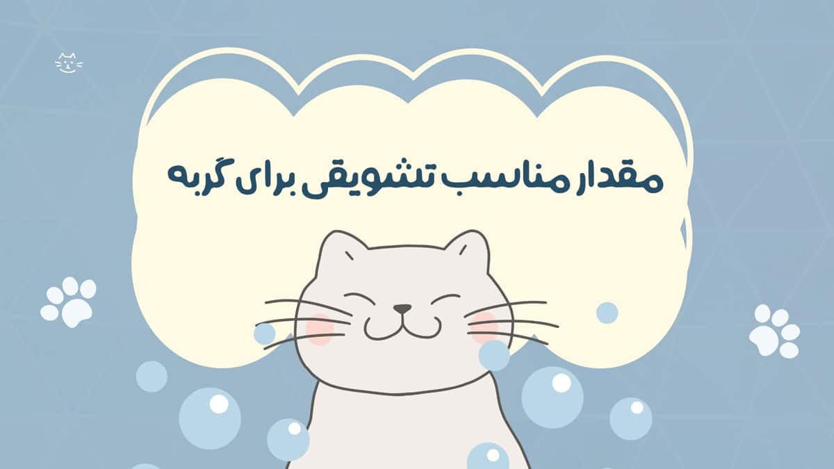 مقدار مناسب تشویقی برای گربه