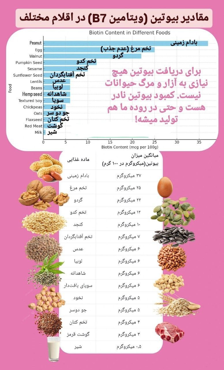 a029fa35 752a 4f5c a8c5 698b319435c7