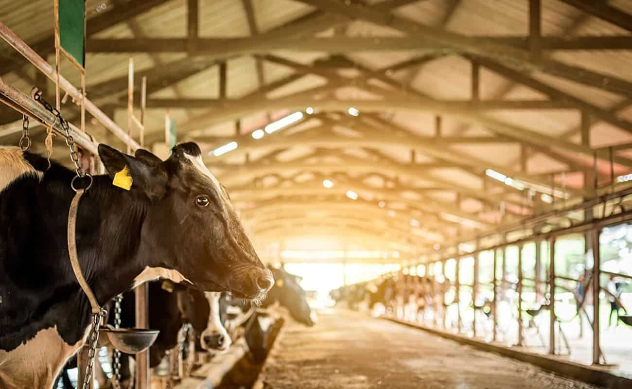 aace4288 1b22 4f7a 92ae a5ab77db986b