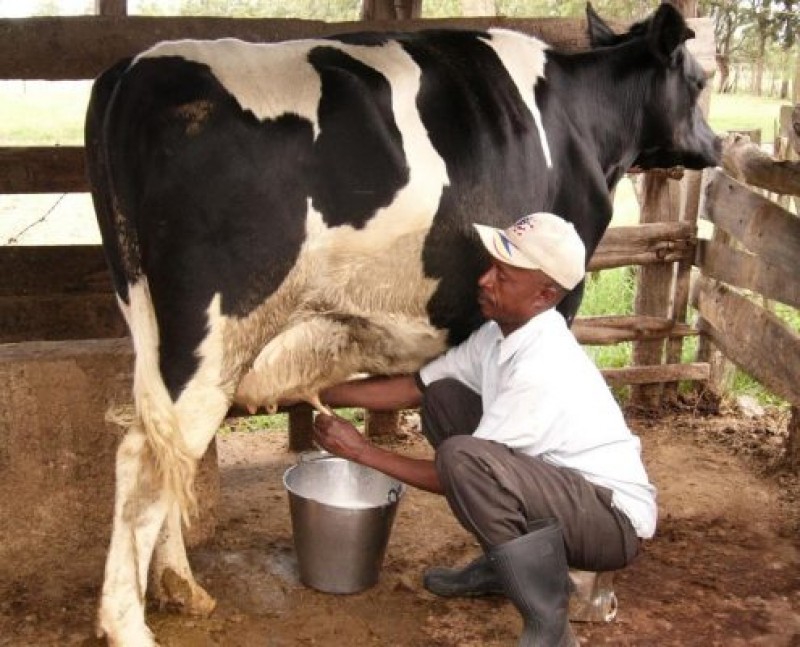 c91afe41 6d7d 4b53 8dd0 d06a9425f01d