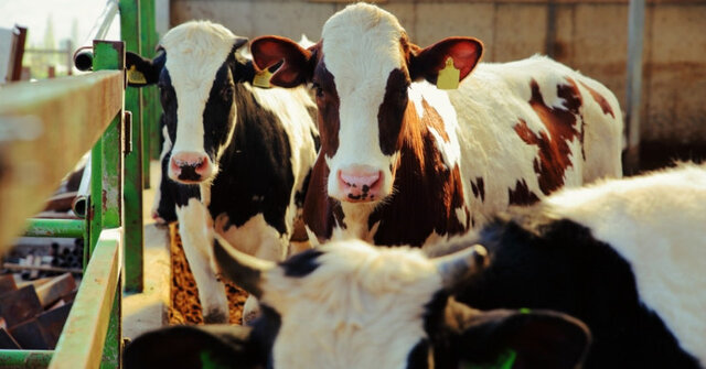 08414850 1b8b 4f99 897e ecc2053c04b8