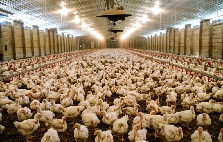 27b7ac54 ea15 4341 b094 180948d38251