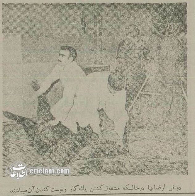 کشتارگاه تهران ۷۰ ساله شد! +عکس‌های تاریخی از مکانی که وجود ندارد