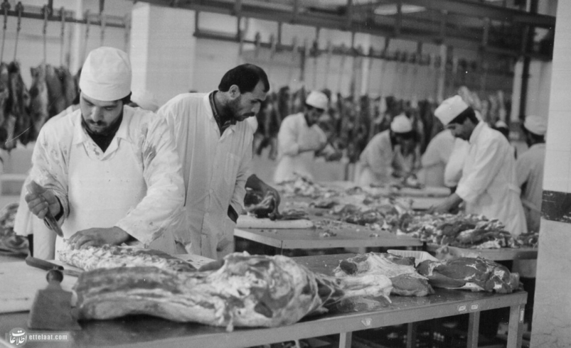 از بوی خون تا آواز موسیقی؛ ماجرای عجیب اولین فرهنگسرای تهران در دل یک کشتارگاه قدیمی