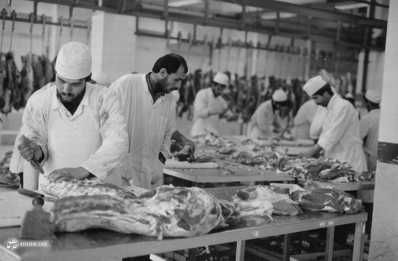 از بوی خون تا آواز موسیقی؛ ماجرای عجیب اولین فرهنگسرای تهران در دل یک کشتارگاه قدیمی