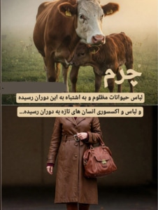 پشت پرده صنعت چرم: آسیب‌های محیطی، اخلاقی و جایگزین‌های گیاهی