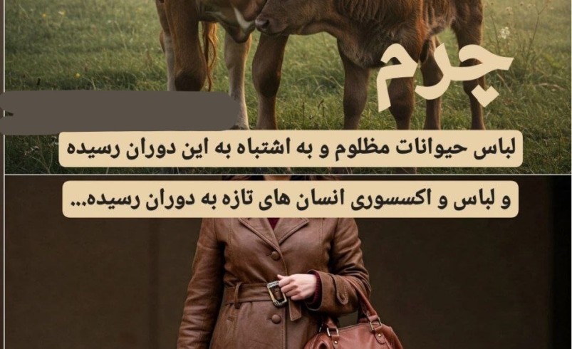 3a251b98 ce11 46a6 bf0d 378af316a3de