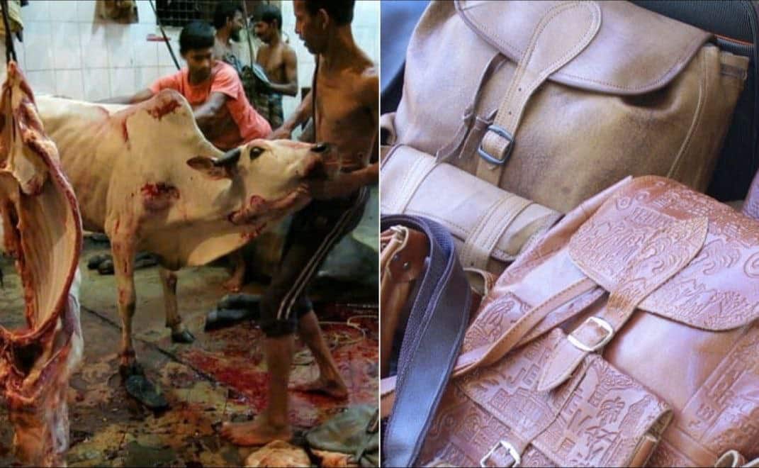 48a58887 76c5 4e9e b7c8 60679ef91d47