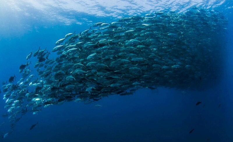 634b3c25 41f9 4212 b2d6 5bee8873cf1e