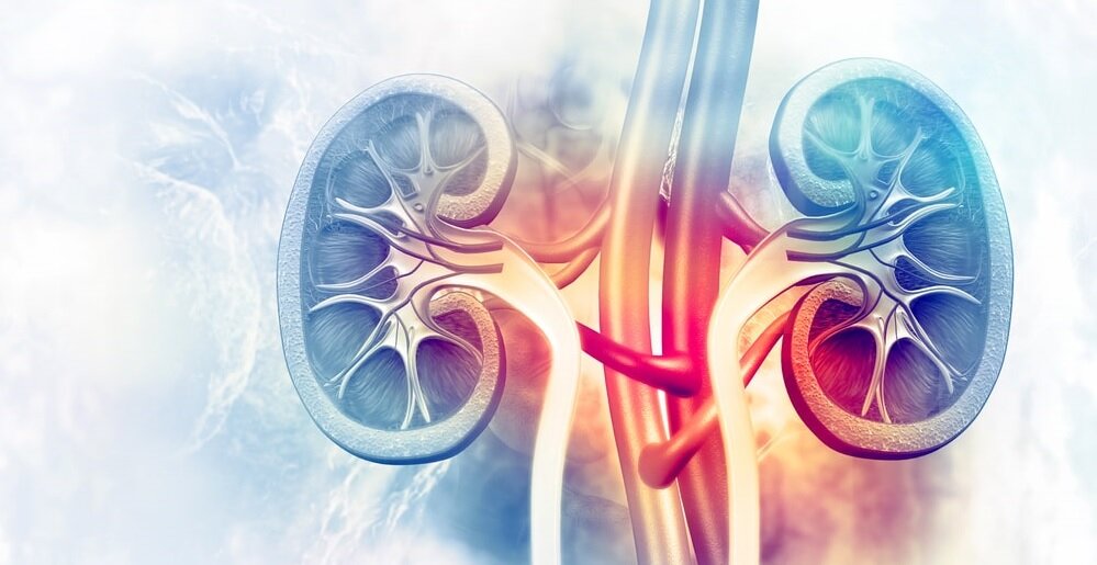 ترکیب ایبوپروفن و کافئین؛ خطری جدی برای کلیه ها