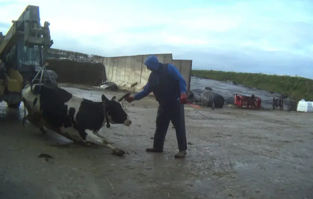 7577bcbe 86e1 4533 bbe7 b8a09e47cc50