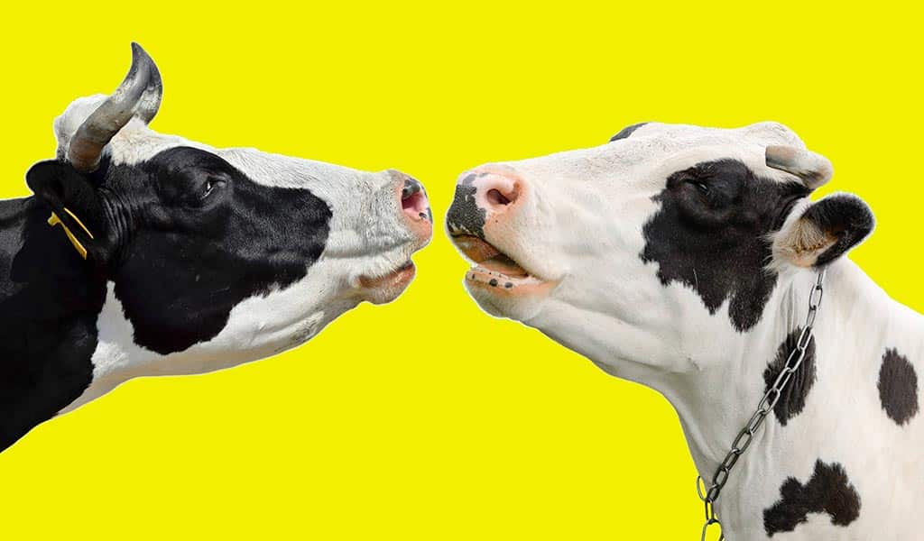 973568f9 7029 40dd aabf 1480c73e05d9