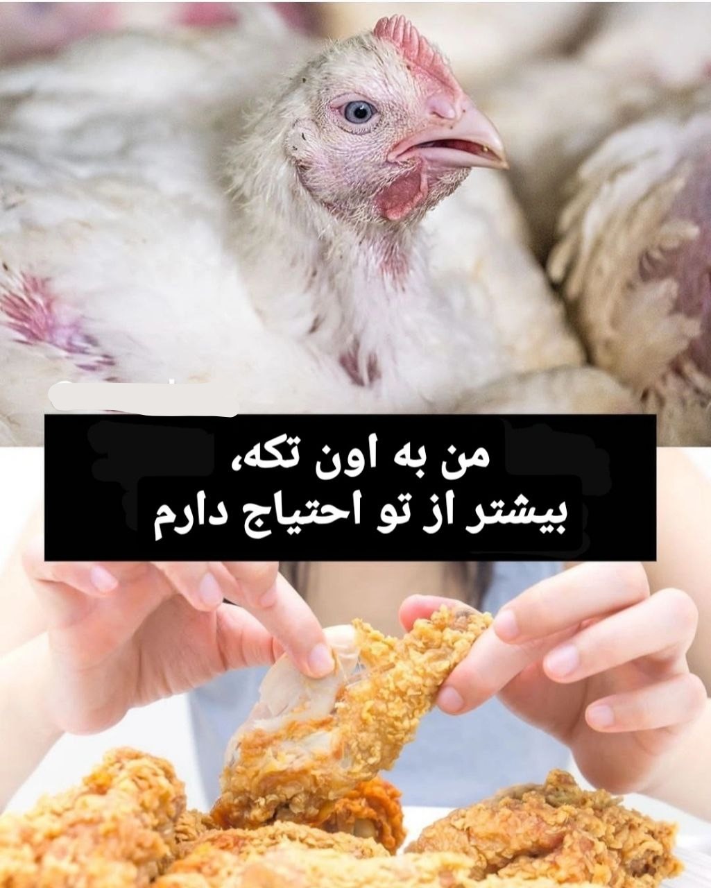 a1183efc c589 4dbf 9ff4 c560a99944a6