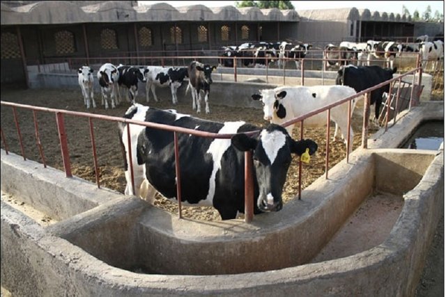 a1469f3b 441f 49d1 86ef 0dde208e9055