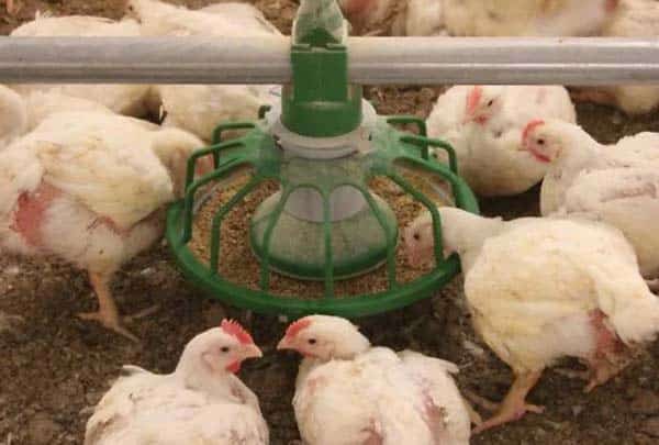 c35b0d53 c481 4751 a374 4e9cbf6f5c16