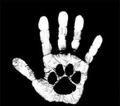 حقوق حیوانات، اخلاق اسلامی و حکم مصرف محصولات حیوانی در شرایط مدرن