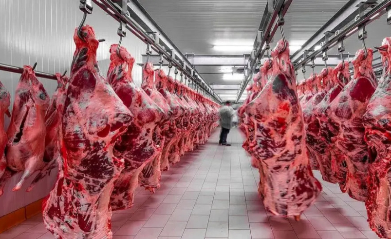 eb68ab6e ddd9 4670 b104 61708329a1de