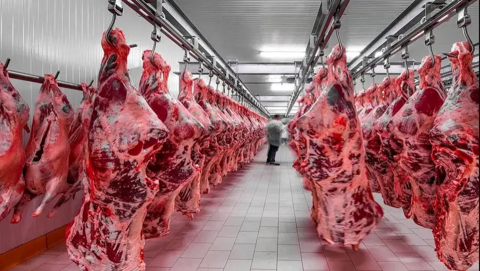 گوشت و لبنیات زیر ذره‌بین: مسائل اخلاقی، تهدیدهای سلامتی و راهکارهای گیاهی