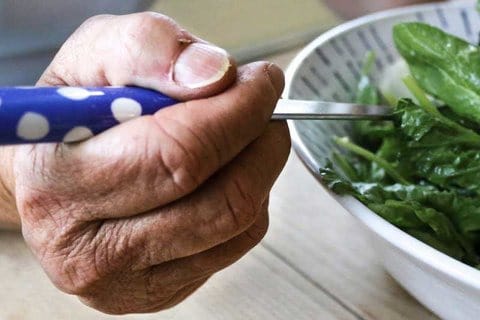 بهترین غذاهای گیاهی برای سالمندان؛ تغذیه‌ای برای عمر طولانی، انرژی و سلامت پایدار