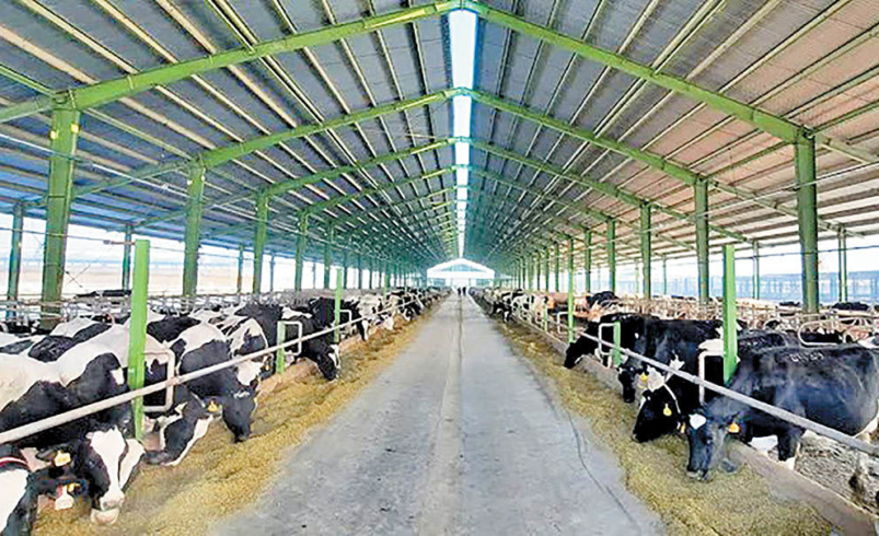 23c7aa47 ac7c 474c 875c 629602242b24